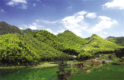 Duang 植樹節(jié)來啦！看如何讓植樹少些形式多些效果