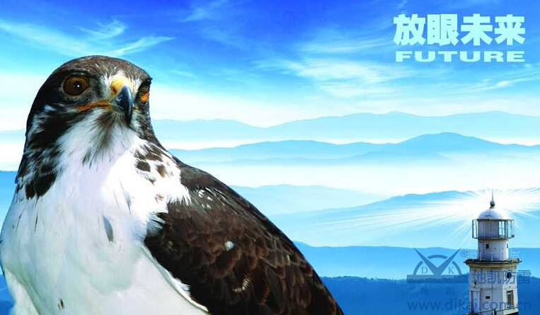 地凱防雷:放寬視野,鑒往知來