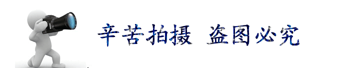 廠家直銷 靠背真藤小藤椅 茶幾邊小登子  大量供應，品質可靠