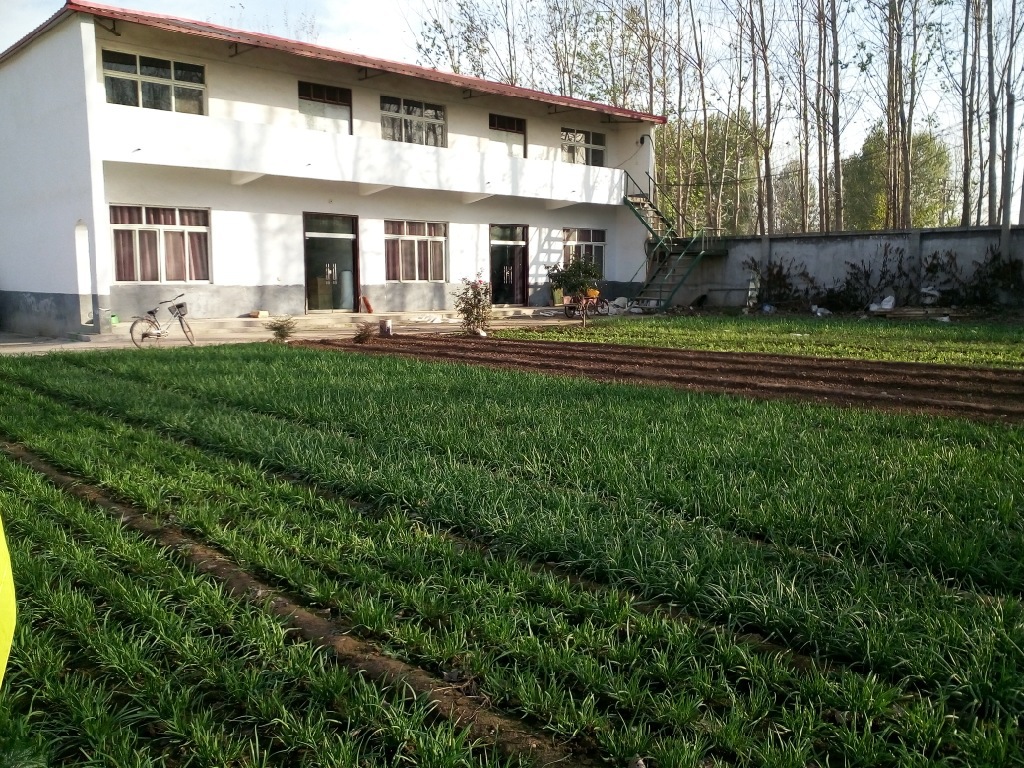 代理生產(chǎn)加工全實(shí)木家具